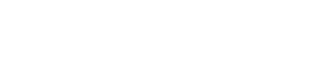 Travelwings